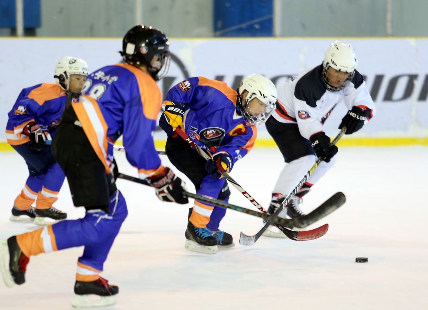 开云体育入口-冰球赛季收官，冠军榜单揭晓