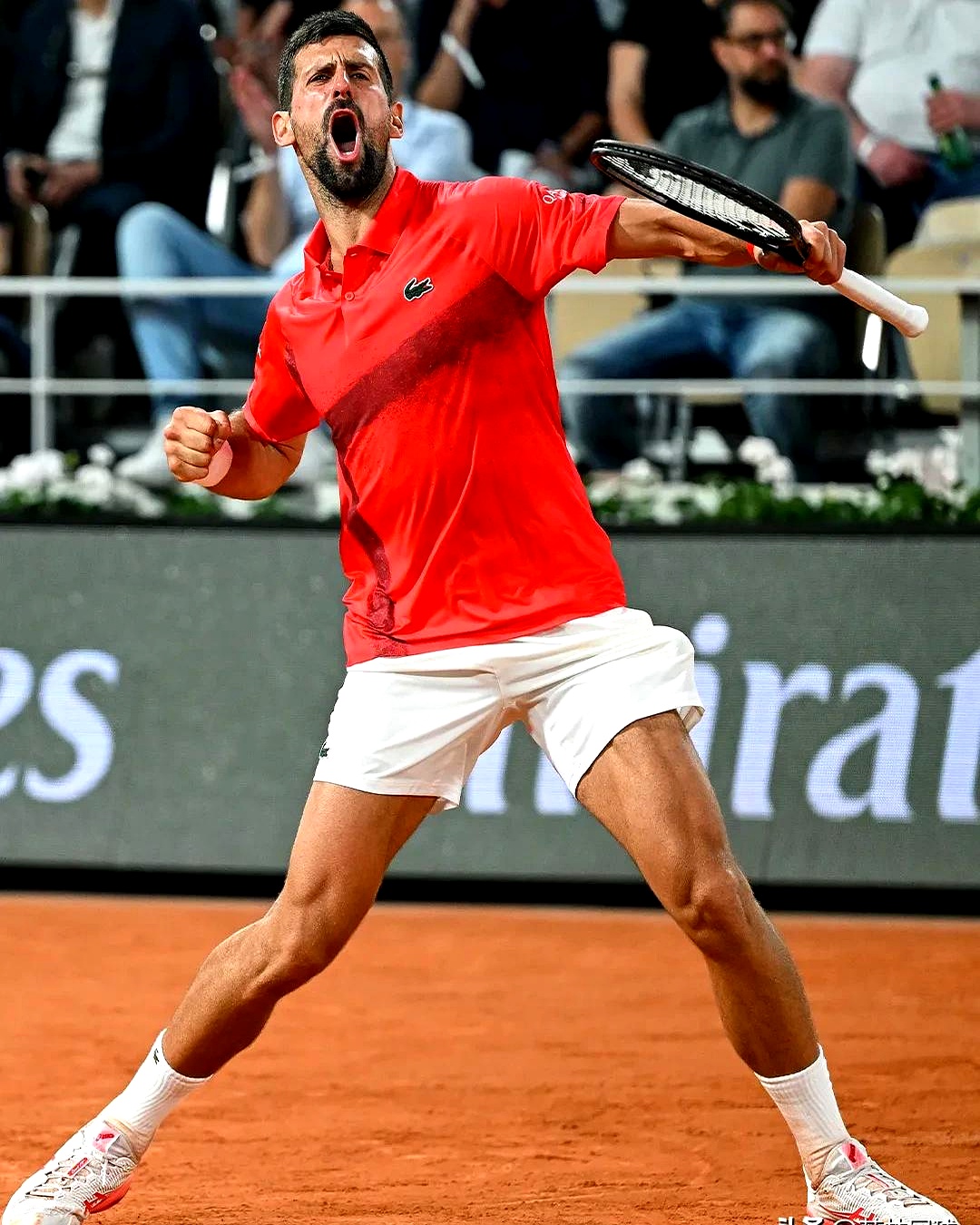 戴维斯杯轻取法网,德约科维奇统治全场 戴维斯杯轻取法网,德约科维奇统治全场