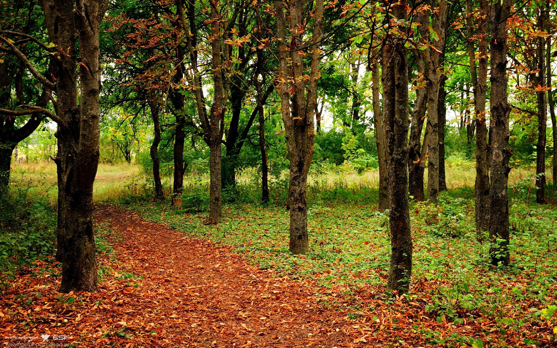 救赎之战与证明之路，基耶萨在乌拉圭对阵加纳的焦点战中绽放