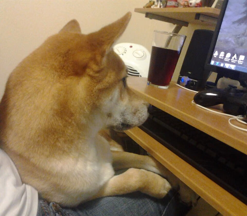 布克狂轰58分仍吞败果！文班亚马导演20分惊天逆转