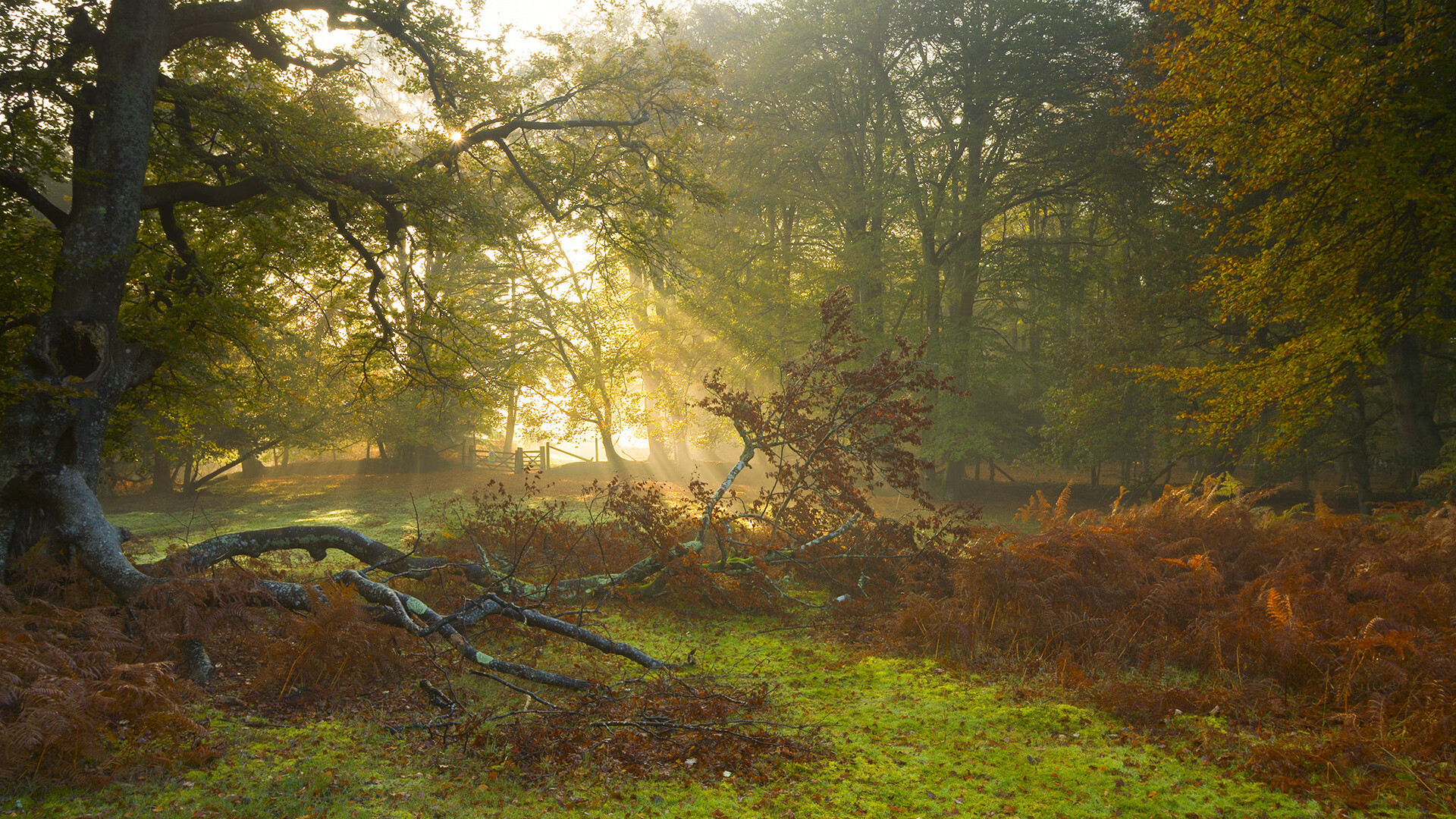 跨洲风暴，摩洛哥奇迹终结阿森纳欧冠之旅，马丁内利在东部决赛关键战中接管比赛