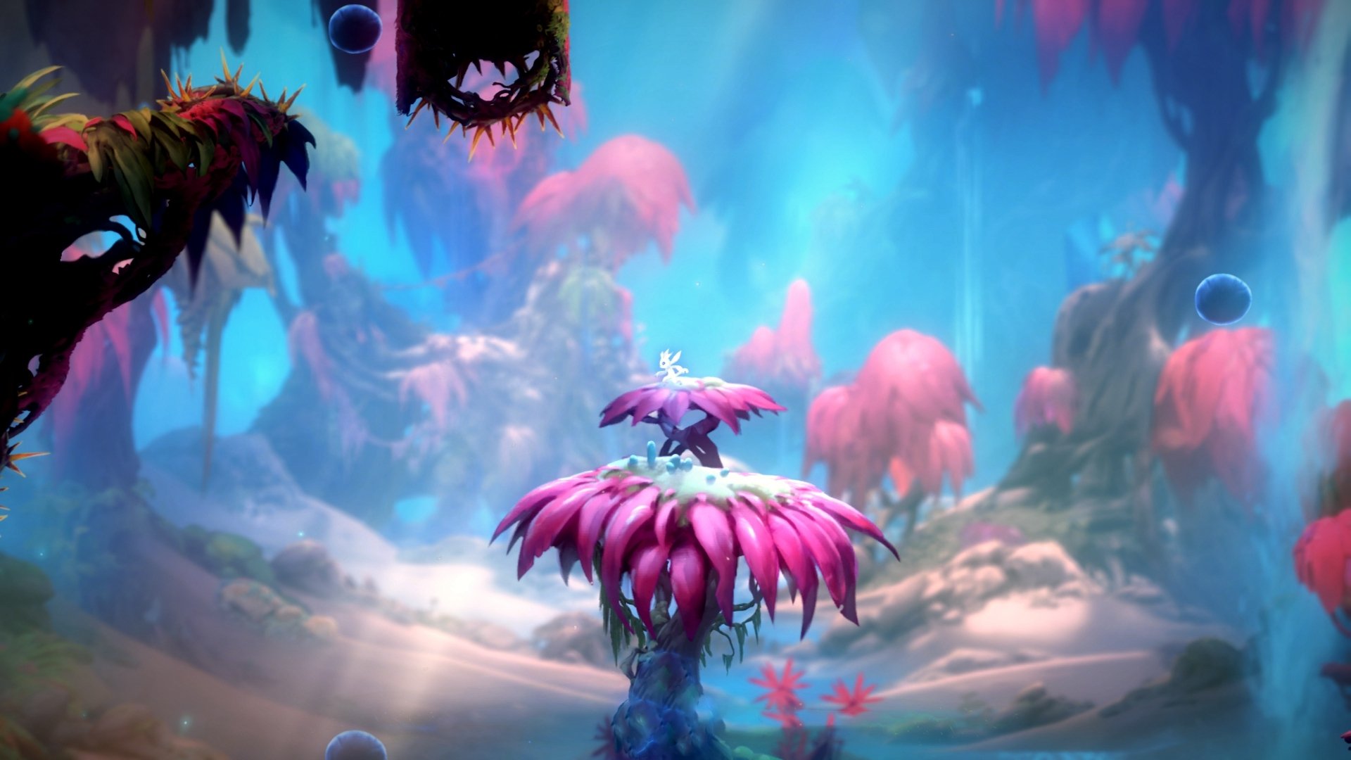 临界点,当F1争冠之夜与库里的证明之战共振