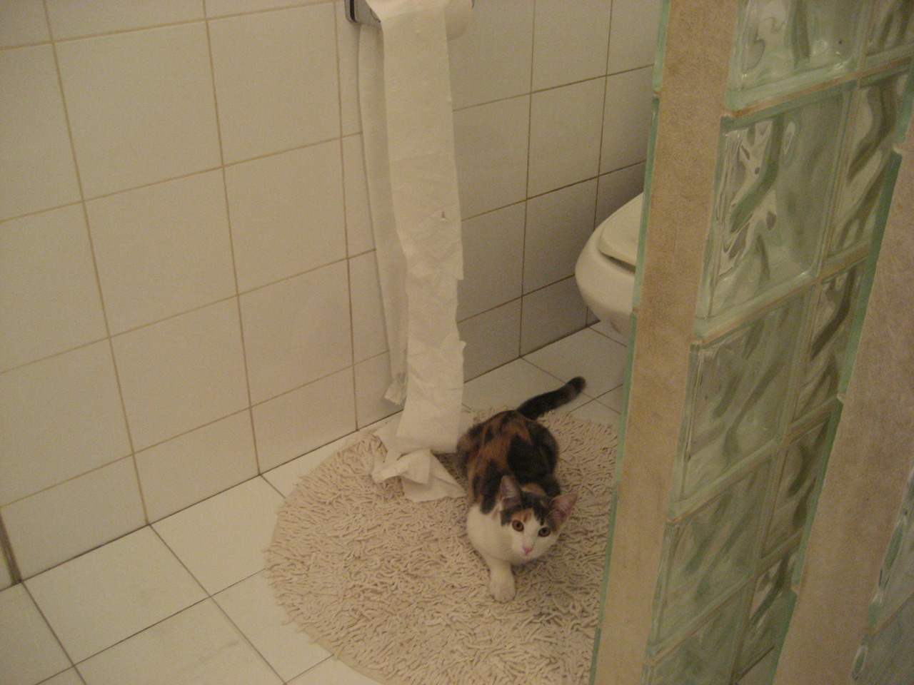 数据陷阱,尼日利亚轻取乌拉圭背后的世界杯终极智谋