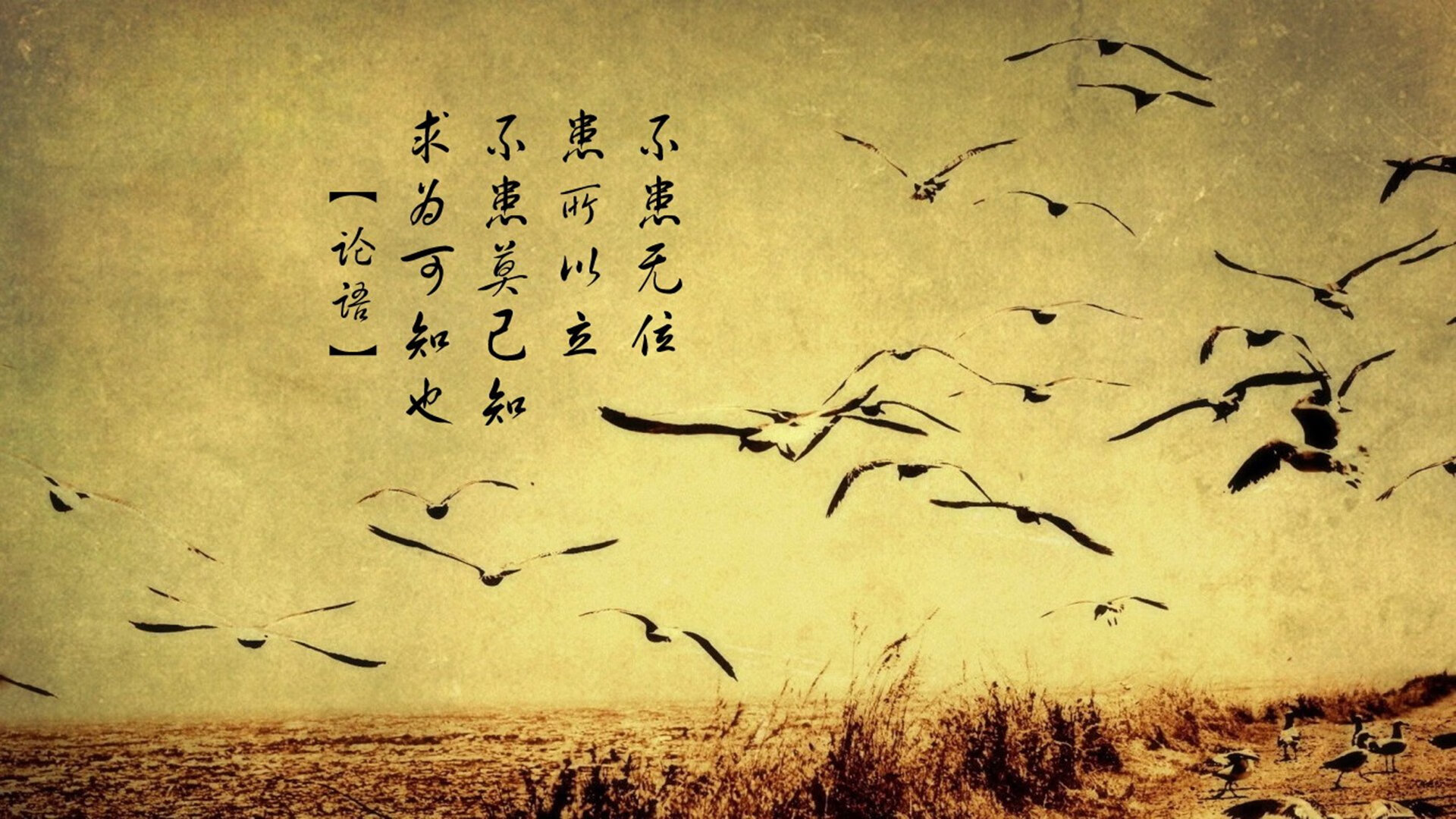 红与橙的平行宇宙，国家德比的狂想曲与荷兰人的实用主义诗篇