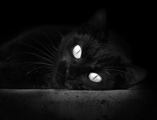 北欧风暴突袭地中海，挪威裁判强行终结马赛，金玟哉化身现代维京守护神