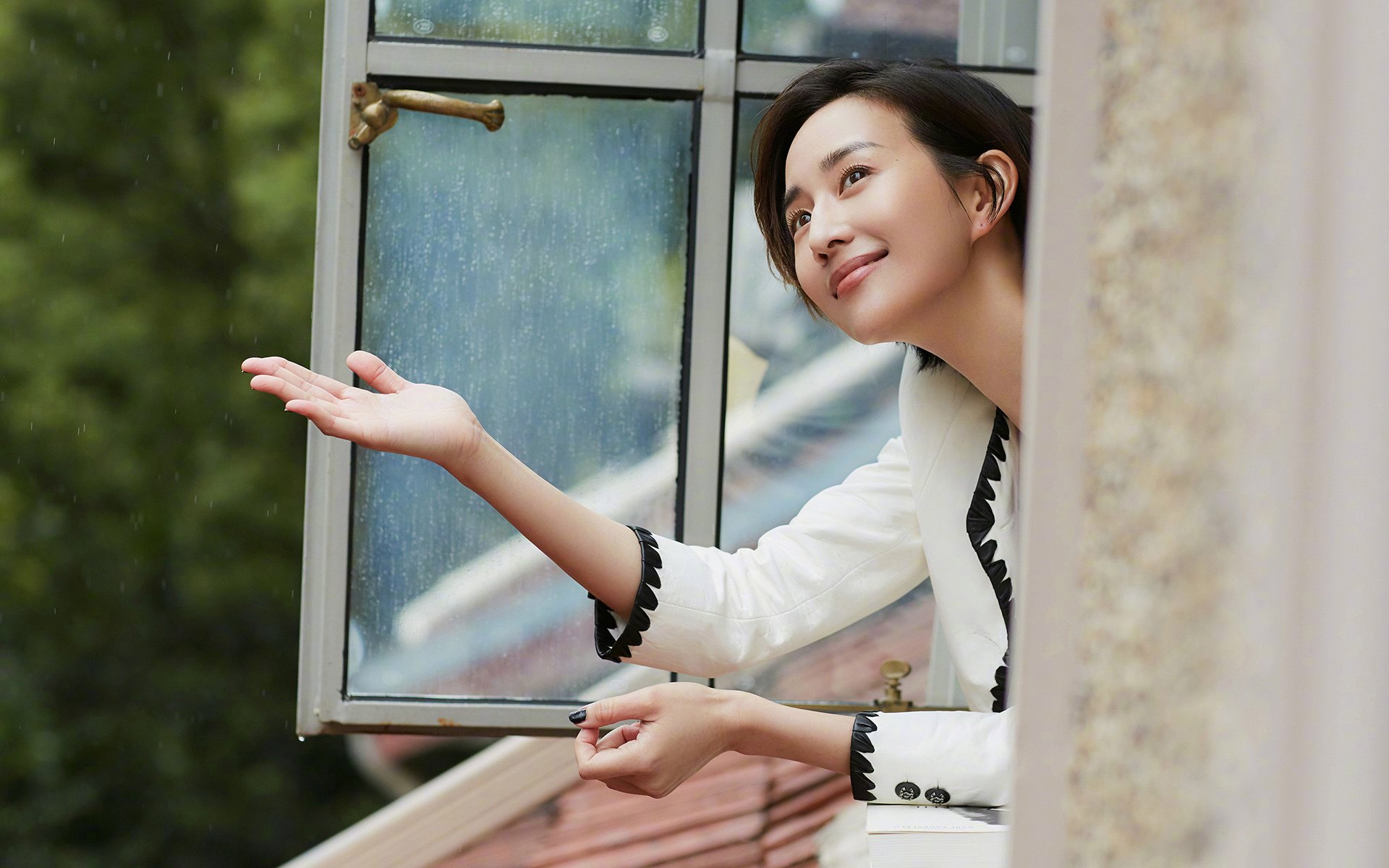 钢铁脊梁，范戴克与他的破晓之战