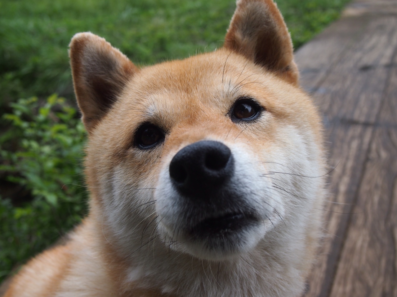 开拓者精神，从篮球的团队冲垮到足球的个人接管