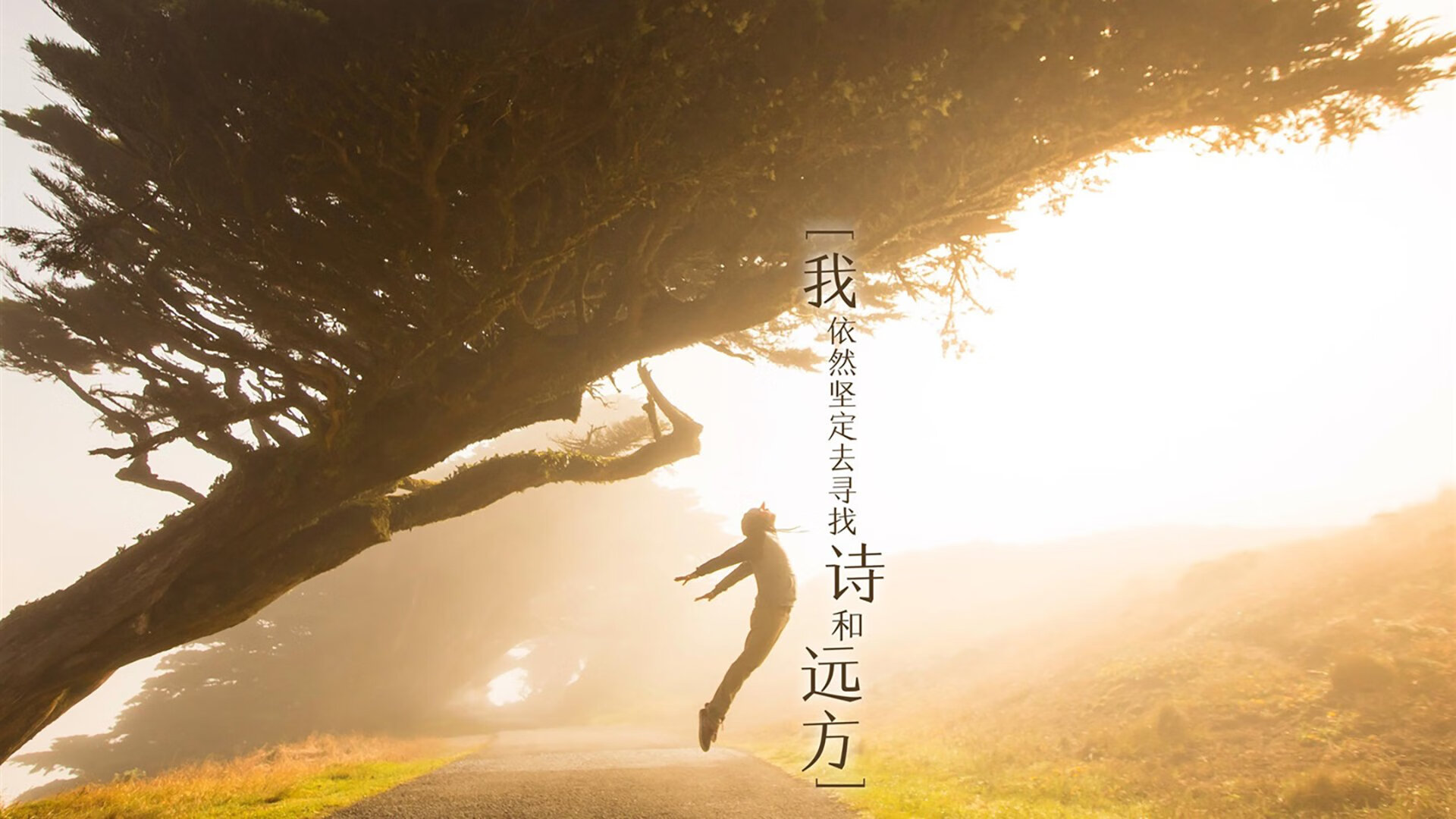 奥地利钢铁防线封锁葡萄牙，楚阿梅尼临危受命成关键先生