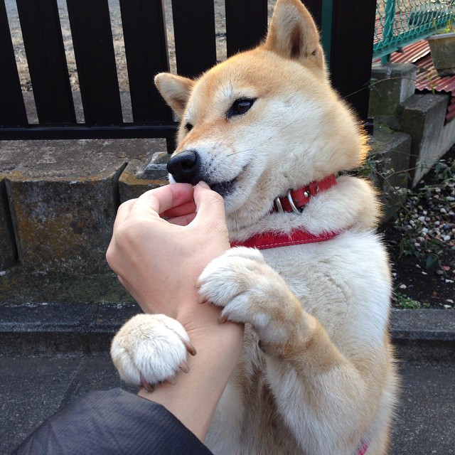 唯一性的双重奏，巴黎轻取巴西与拉亚的西决传奇