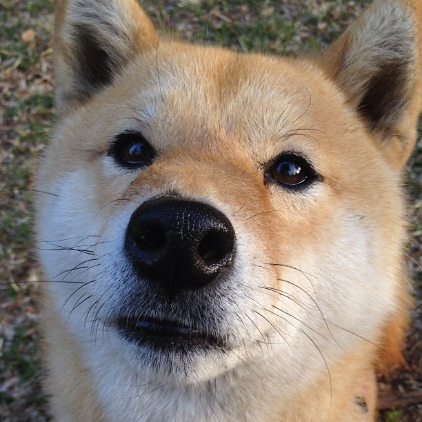 季前跨界烽烟,拉文50分神迹难救主,勇士三叉戟击溃绿军