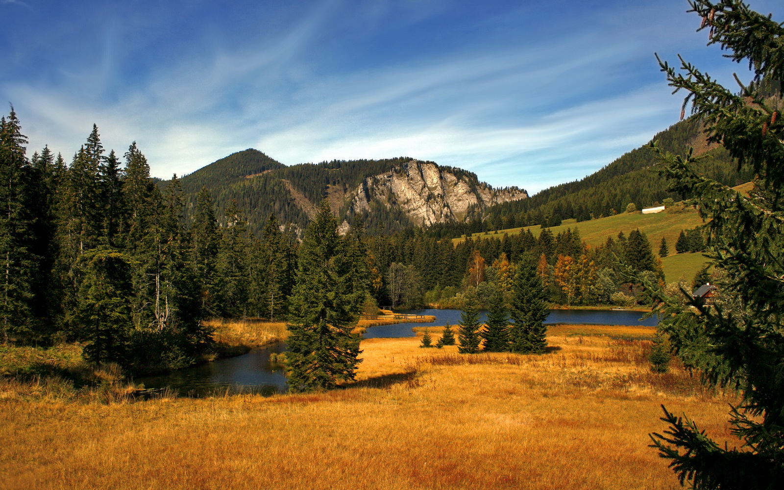 冰与火的博弈，西亚卡姆的钢铁防线，如何让开拓者的烈焰无声熄灭？