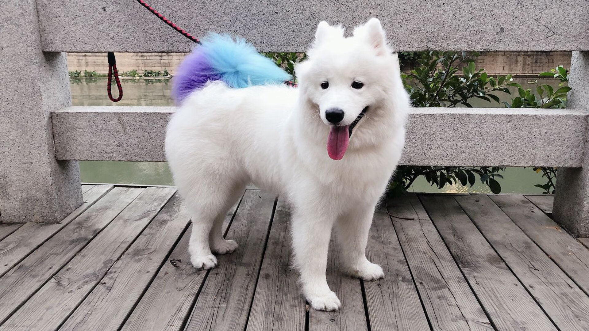 青春逆鳞刺穿铁血王朝，抢七夜，活塞用23记三分埋葬热火时代