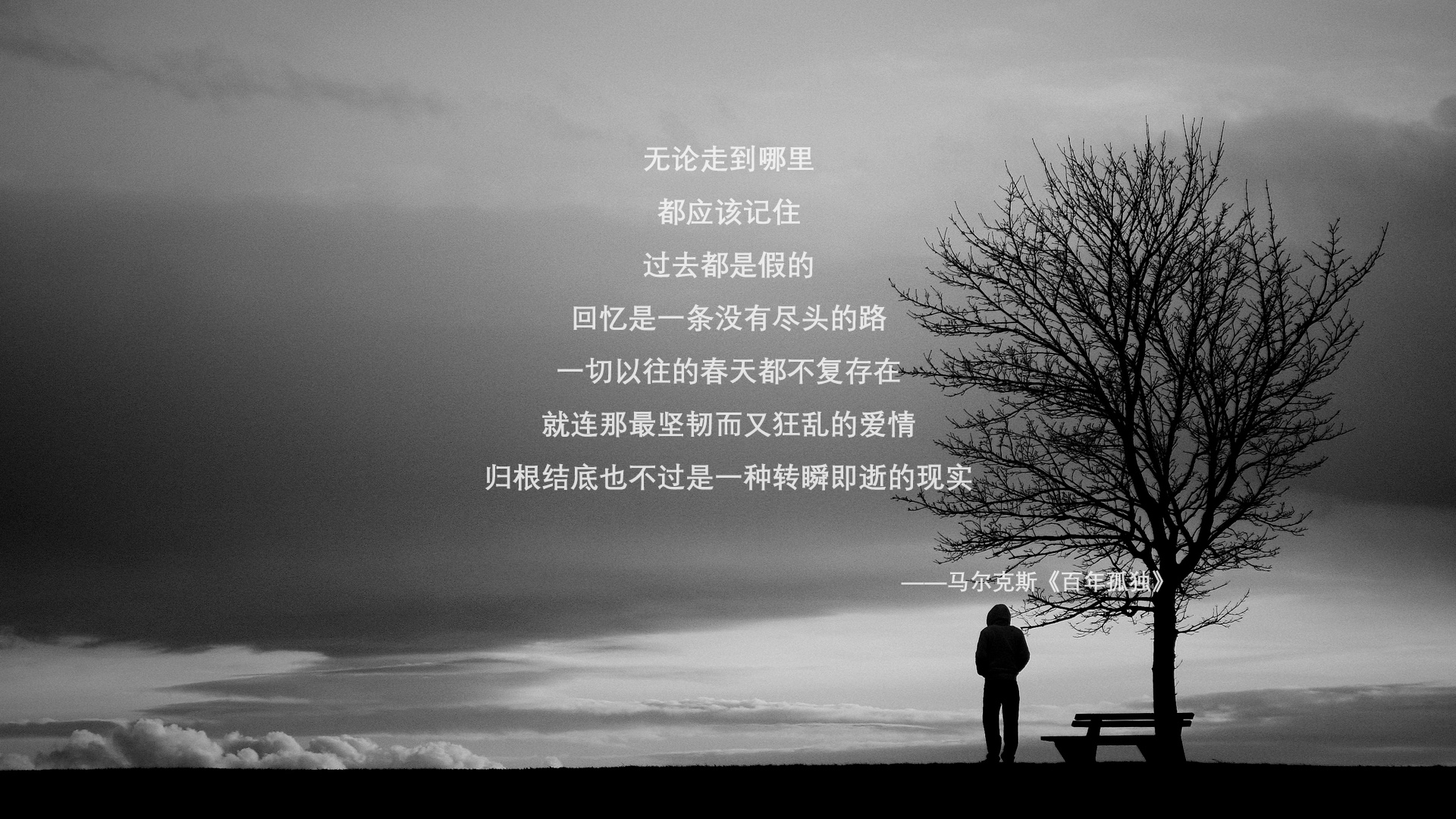 他翱翔于天际，他们在大地上编织罗网，足球的两种天才