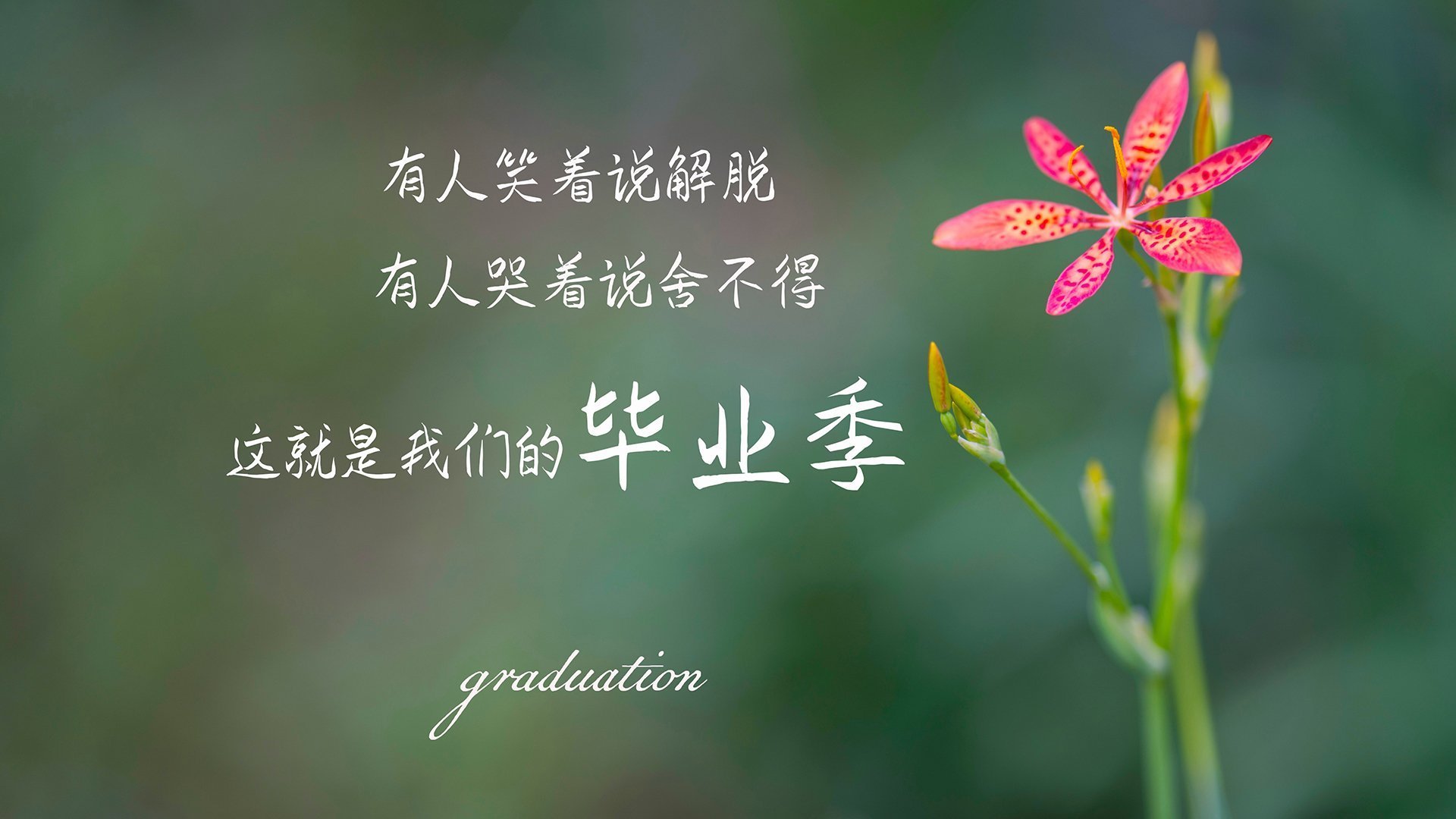 （备选）