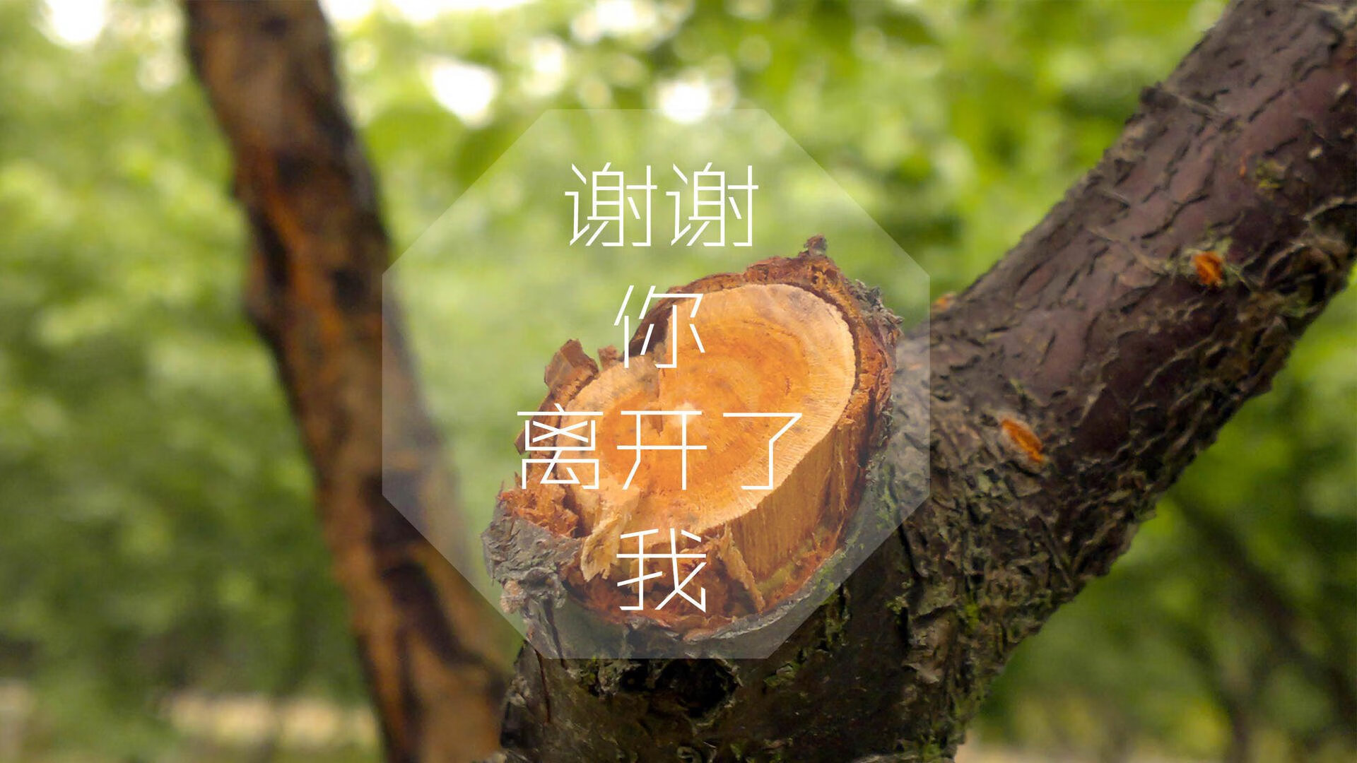 开云体育平台APP-归化奇兵与太极虎的逆袭，加维补时致命一击，韩国力克澳大利亚挺进2026世界杯16强