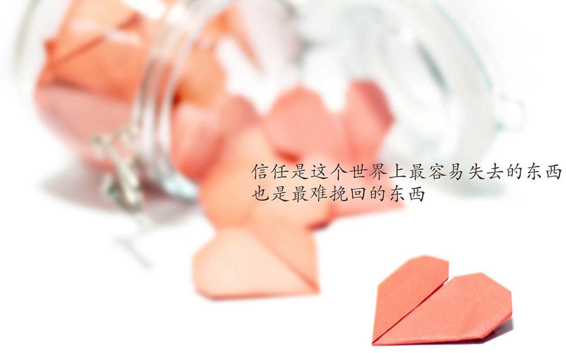 2026世界杯E组怪象，当保加利亚用铁幕封印摩洛哥，福登的匕首为何最致命？