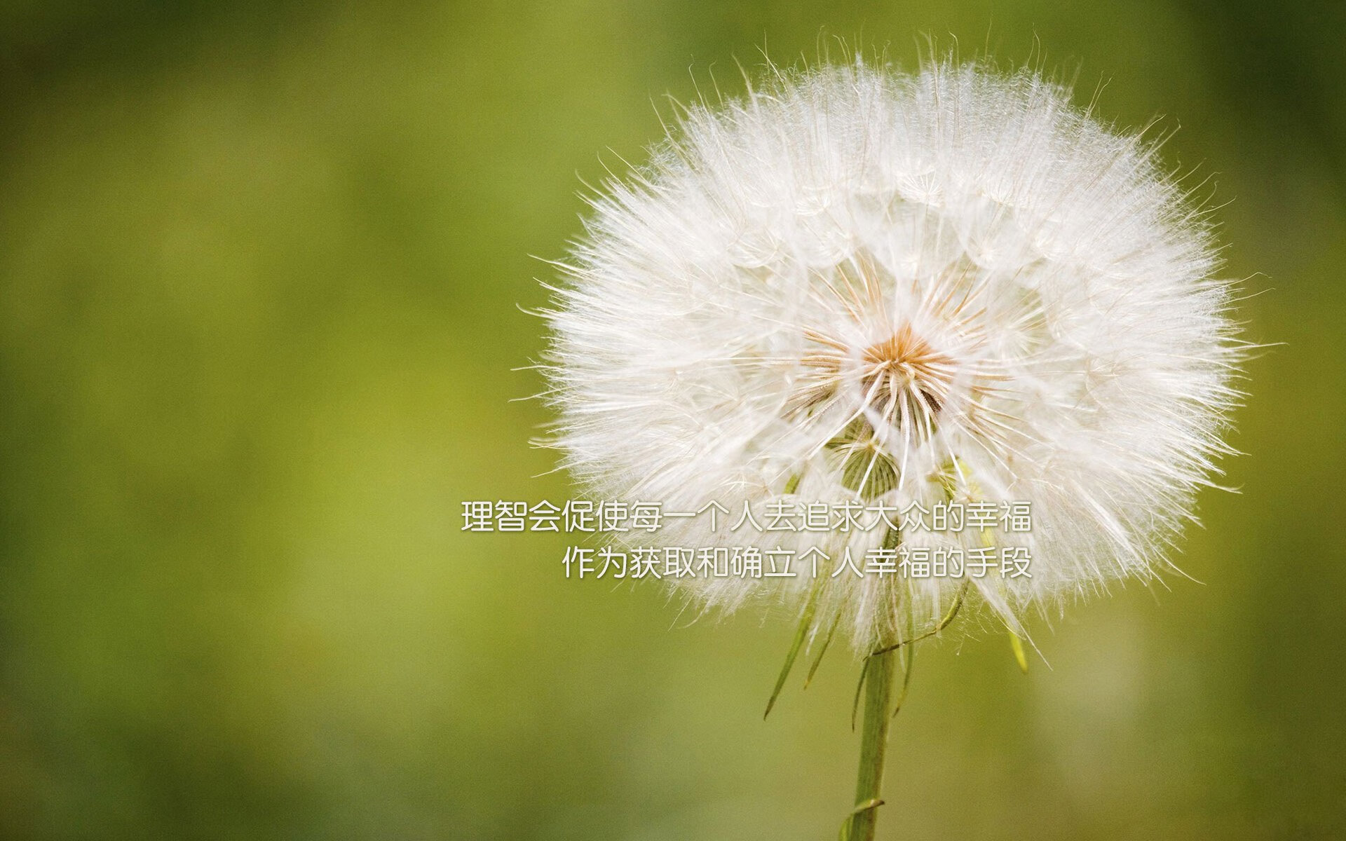 脚法如魔术师的手套，战略如精密的磨盘，匈牙利如何用非典型萨卡，碾碎美国足球的星辰大海
