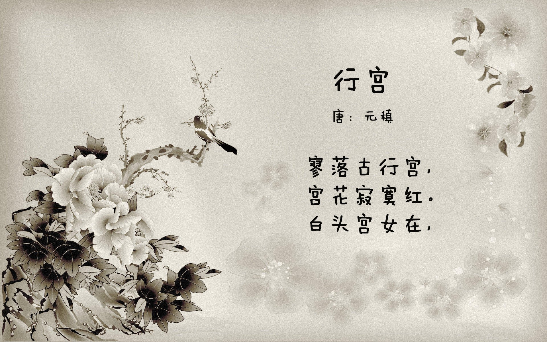 将军的最后一枚棋子，吉鲁在沙漠与海洋的棋盘上刻下唯一性