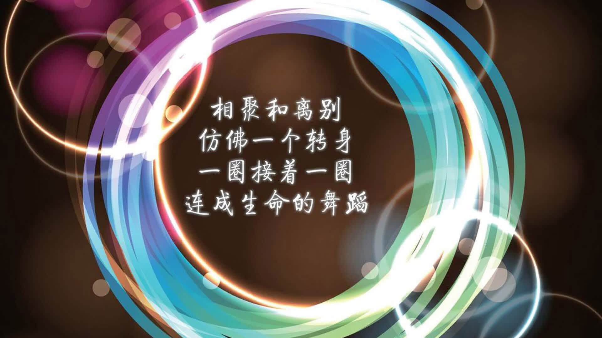 寒夜惊雷,2026世界杯H组,坎塞洛一剑封喉,斯洛伐克1-0险胜德国